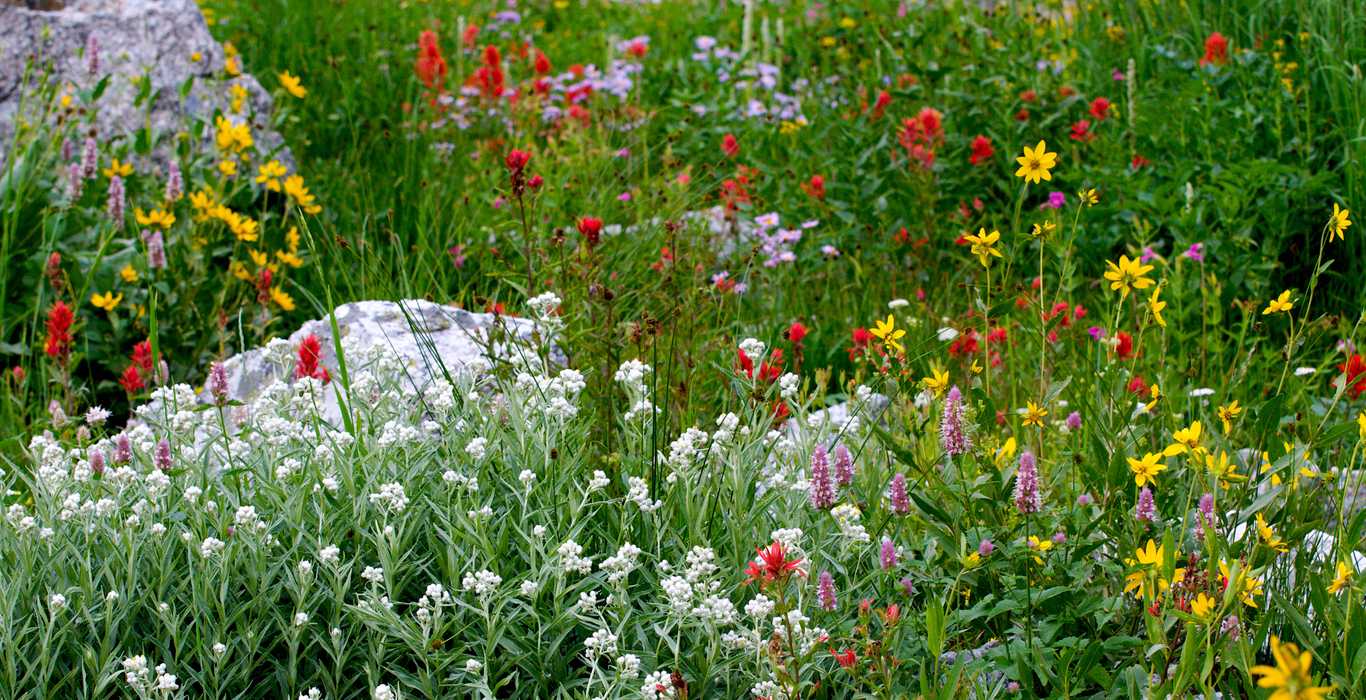 Contact City of Driggs, Idaho