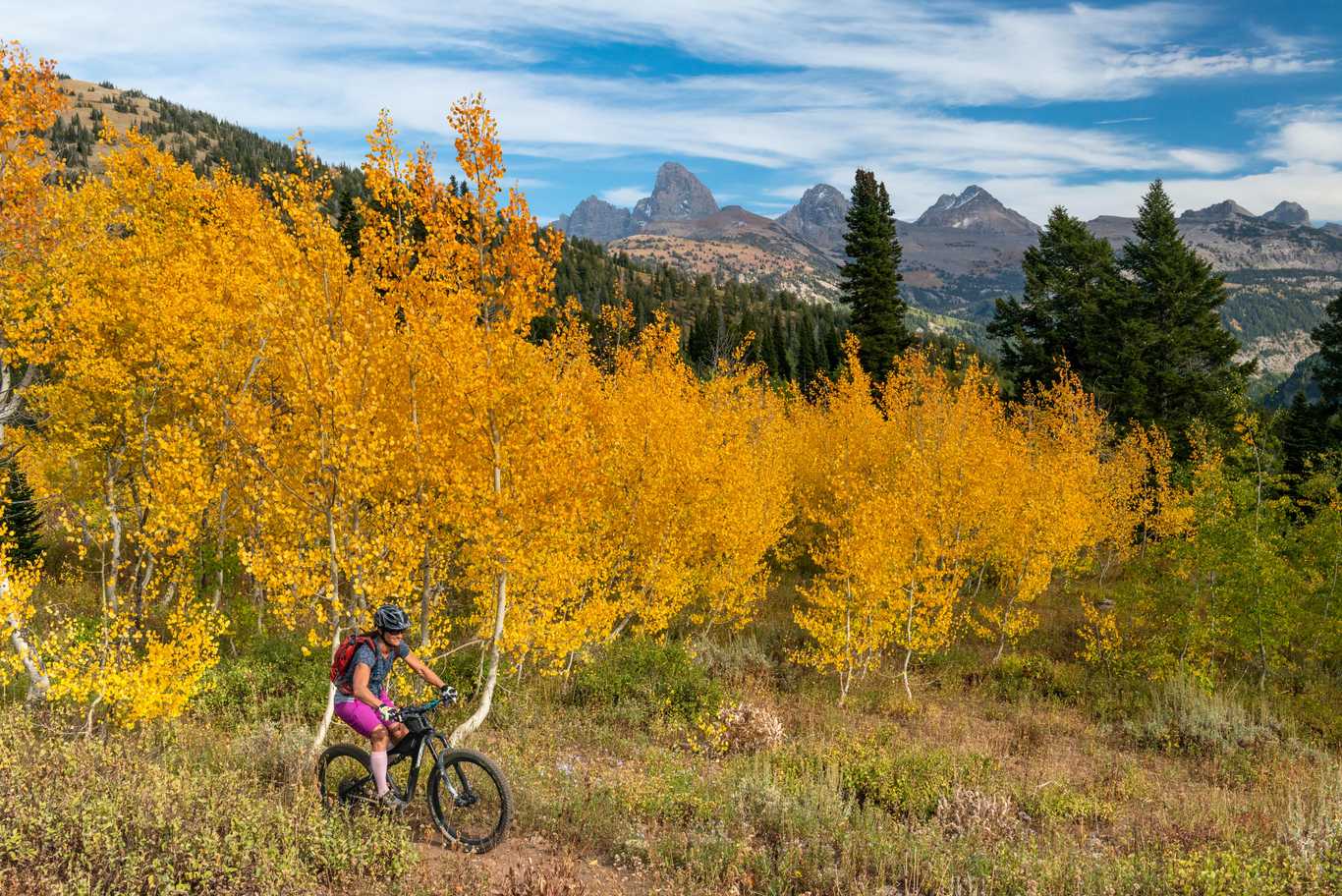 Finance City of Driggs, Idaho