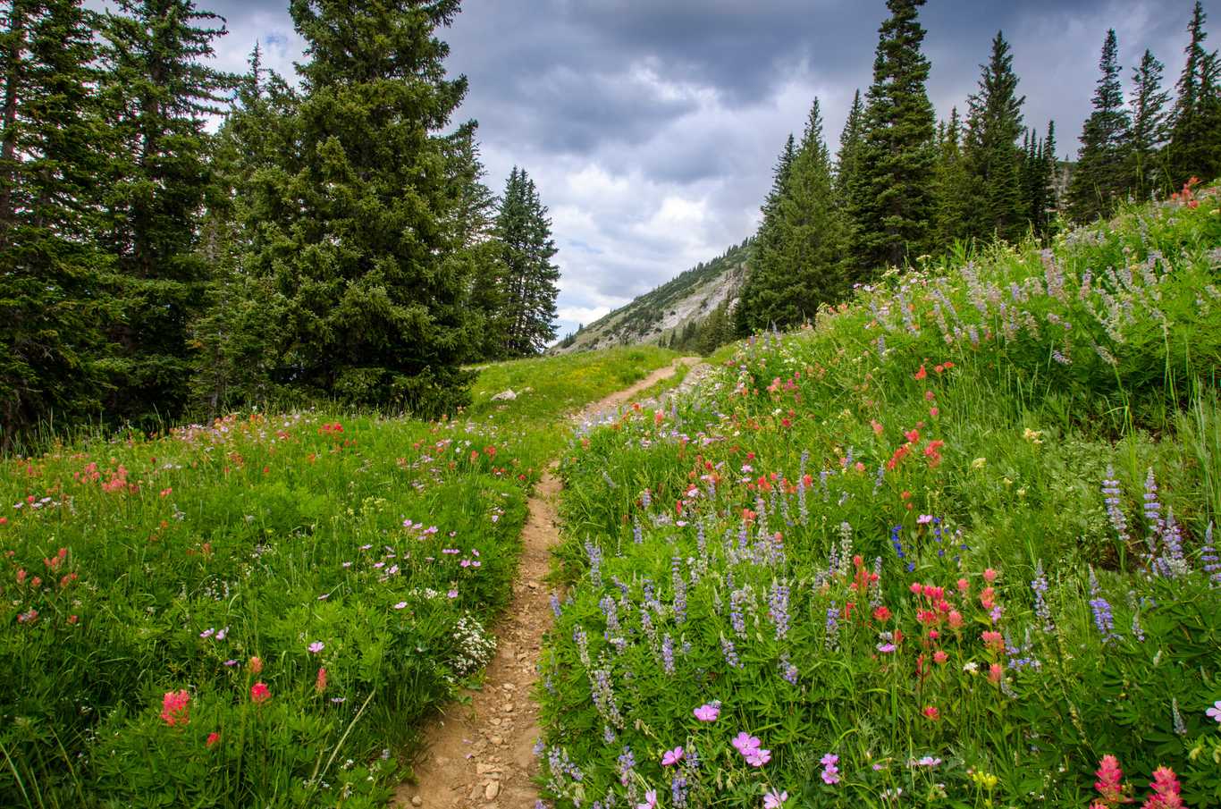 City of Driggs, Idaho City of Driggs, Idaho